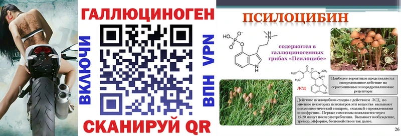 Псилоцибиновые грибы Psilocybine cubensis  наркота  Северская 