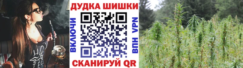 где купить наркотик  мега маркетплейс  Конопля AK-47  Северская 